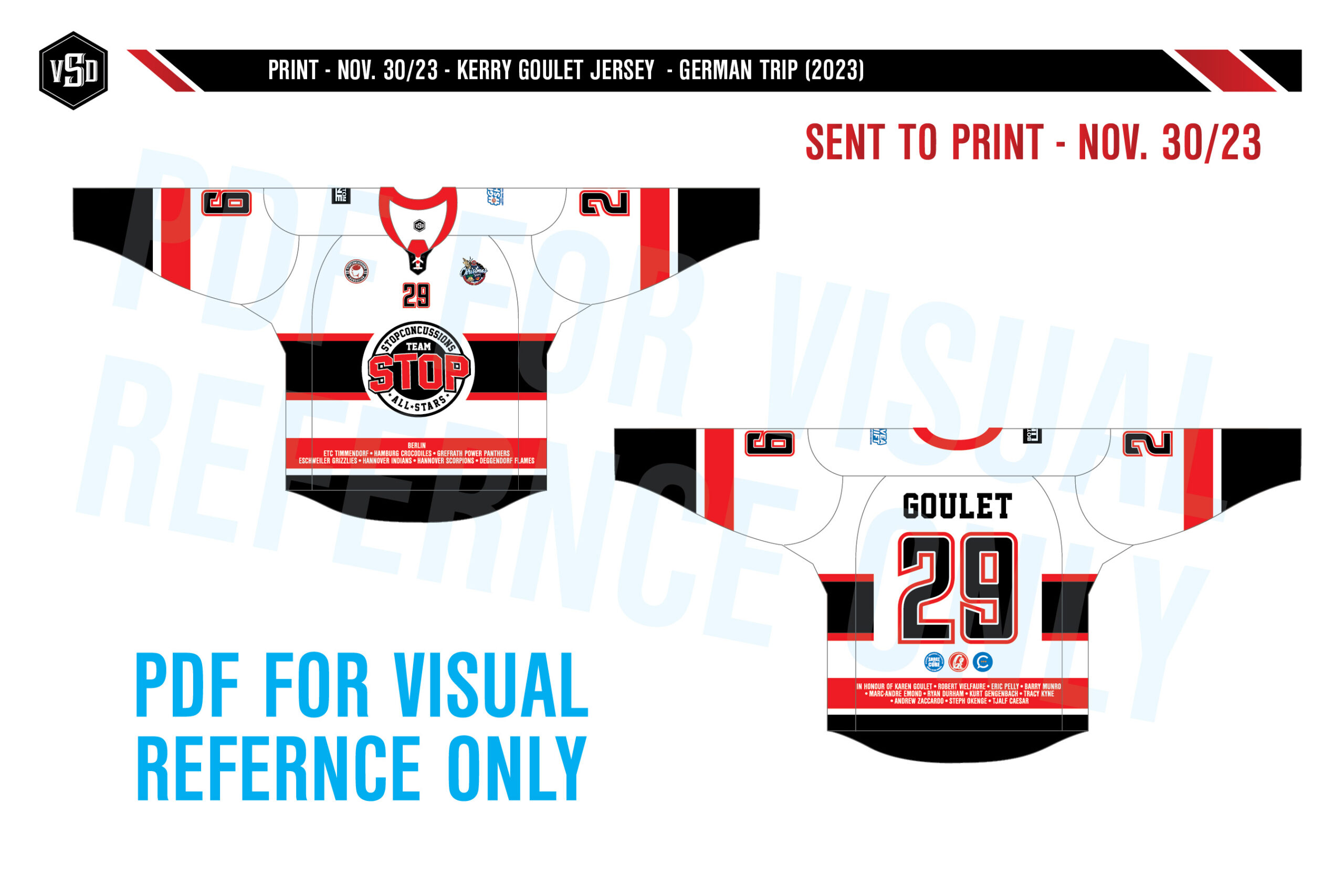 Gouche's #29 StopConcussion All-Star Jersey